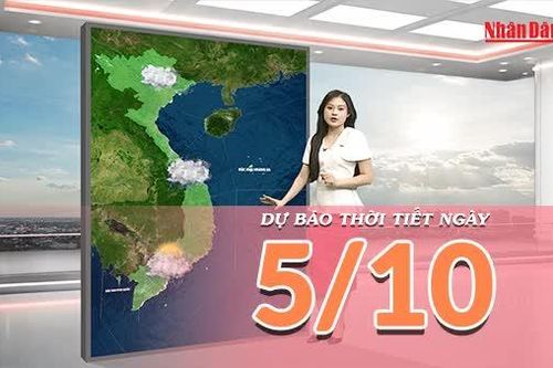 [Video] Dự báo thời tiết ngày 5/10/2026: Không khí lạnh gây mưa ở Bắc Bộ, Trung Bộ; Nam Bộ chiều tối tăng dông