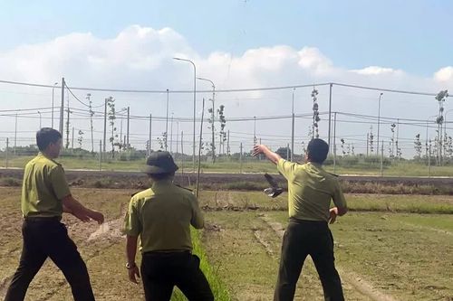 Thu giữ hàng trăm mét lưới bẫy bắt chim hoang dã