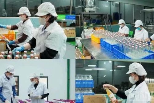 Hơn 223,9 nghìn doanh nghiệp thành lập mới và quay trở lại hoạt động 9 tháng năm 2026