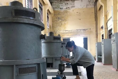 Đề phòng ngập lụt, úng cho sản xuất nông nghiệp