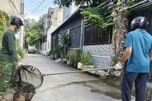 Quyết tâm phòng, chống bệnh dại