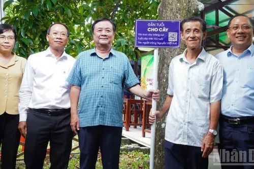 Cần Thơ chuyển đổi tư duy sản xuất nông nghiệp
