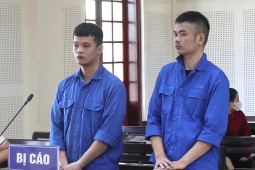 Lĩnh án vì đưa người nước ngoài nhập cảnh trái phép vào Việt Nam