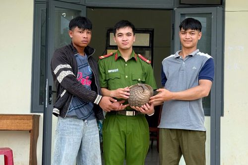 Người dân tự nguyện giao nộp cá thể tê tê quý hiếm