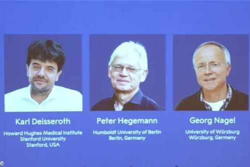 Nobel Y sinh 2026 vinh danh công trình nghiên cứu về di truyền quang học