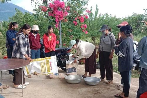Khảo sát nhu cầu học nghề: Bắt đầu từ sinh kế