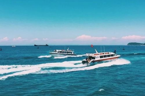 Đà Nẵng ứng dụng AI quản lý, khai thác du lịch tại Cù Lao Chàm