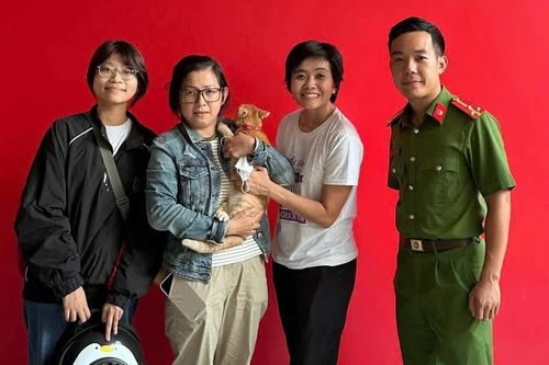Phá đường dây bắt trộm, tiêu thụ hơn 2.700 con mèo gây bức xúc