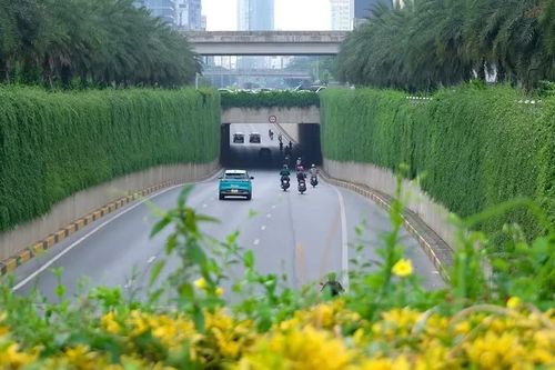 Hà Nội thí điểm phủ xanh trụ cầu đường sắt, hầm chui và nhà chờ xe buýt