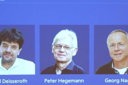 Ba nhà khoa học giành giải Nobel Y học 2026 nhờ 'công tắc' ánh sáng