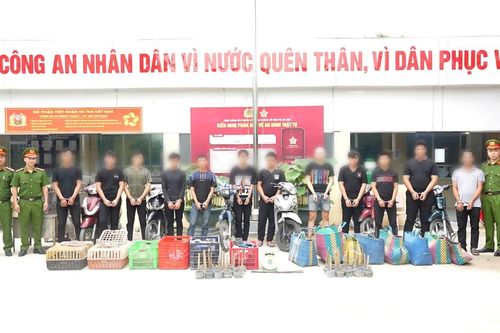 Khởi tố 12 bị can trong vụ trộm 2.700 con mèo tại TP.HCM