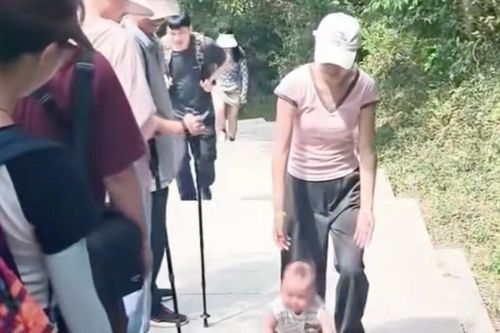 Gia đình gây chú ý vì để con trai 9 tháng tuổi leo núi