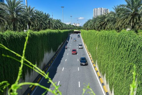 Hà Nội thí điểm phủ xanh trụ đường sắt, hầm chui, cầu vượt