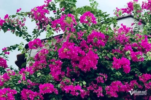 7 năm cay nghiệt với con dâu mồ côi, mẹ chồng hối hận muộn màng