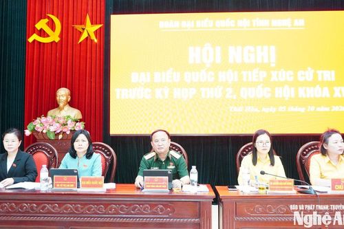 Đoàn đại biểu Quốc hội tỉnh tiếp xúc cử tri tại phường Thái Hòa