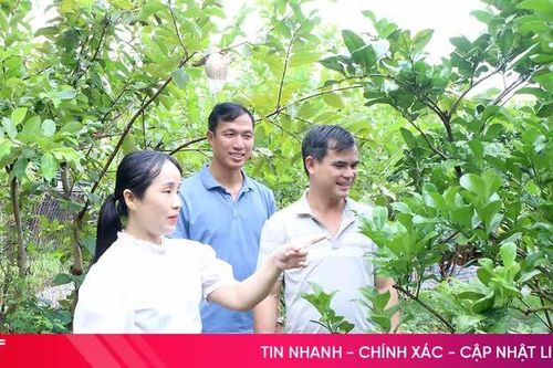 Những người không chuyên trách ở xã Cẩm Bình chọn ở lại với 'việc làng'