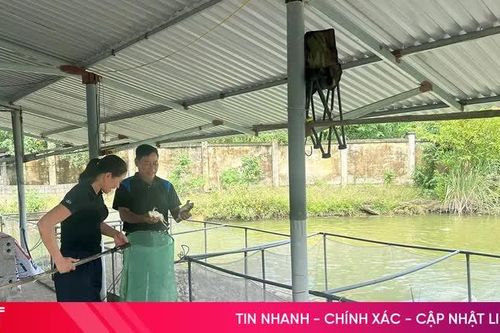 Nông nghiệp tuần hoàn - hướng đi bền vững cho nông dân