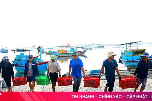 Hà Tĩnh công bố 9 điểm lên cá tạm thời phục vụ quản lý, truy xuất nguồn gốc thủy sản