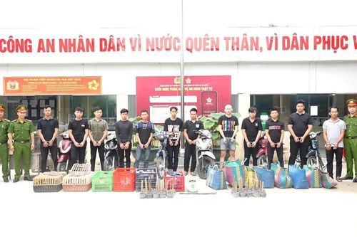 Khởi tố, bắt tạm giam 12 bị can trong vụ trộm cắp gần 3.000 con mèo