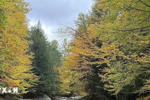 Sắc Thu quyến rũ tại bang Vermont ở vùng Đông Bắc nước Mỹ