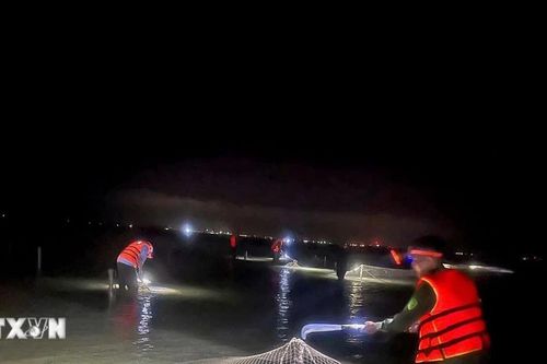 Quảng Ninh xử lý triệt để vi phạm nuôi trồng thủy sản trên biển