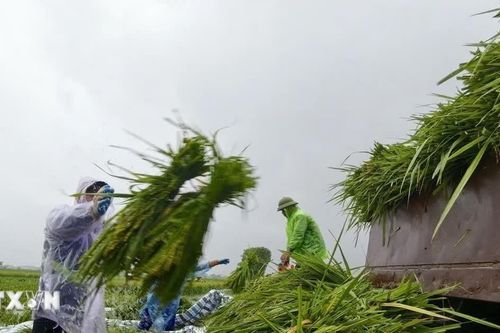 Đề nghị 5 tỉnh thành chủ động ứng phó với mưa lớn, lũ quét và sạt lở đất