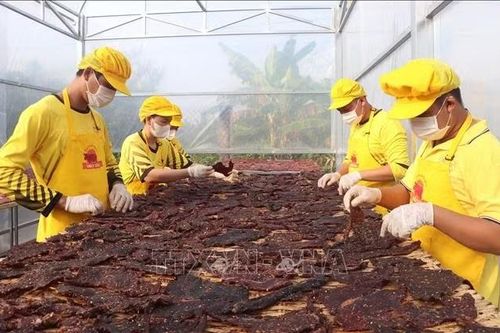 Tạo lực cho tăng trưởng 2 con số - Bài 3: Chính sách thuế tiếp sức doanh nghiệp