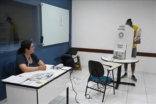Cuộc bầu cử Tổng thống Brazil: Cục diện khó đoán