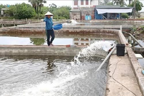Gỡ khó về vốn, mở hướng sinh kế cho người dân