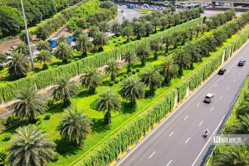 Hà Nội thí điểm phủ xanh trụ đường sắt trên cao, hầm chui và nhà chờ xe buýt