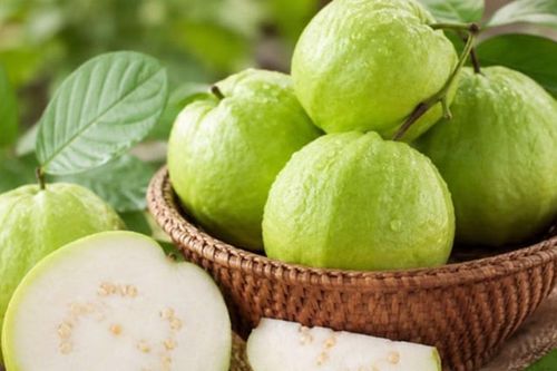 Quả ổi nhỏ, lượng chất xơ không ngờ: Tương đương 4-5 kg xà lách?