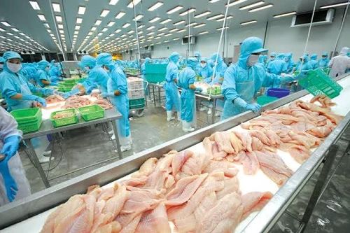 VASEP kiến nghị tháo gỡ vướng mắc thuế cho doanh nghiệp thủy sản
