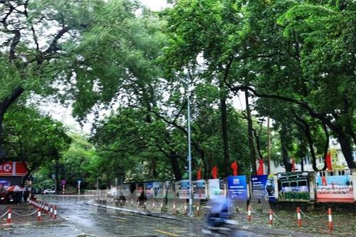 Hà Nội tăng mảng xanh tại một loạt công trình đô thị