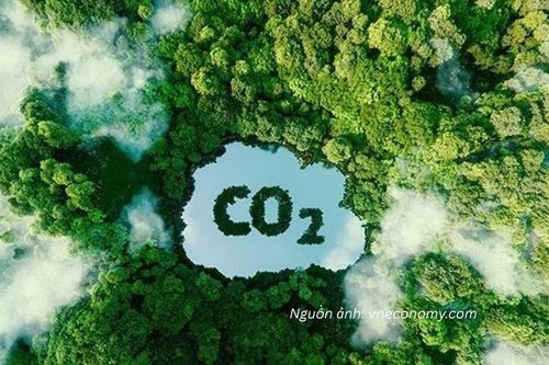 Tín chỉ carbon: Đừng chỉ nhìn vào giá bán