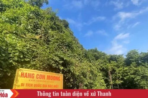 Dấu xưa trong lòng hang Con Moong