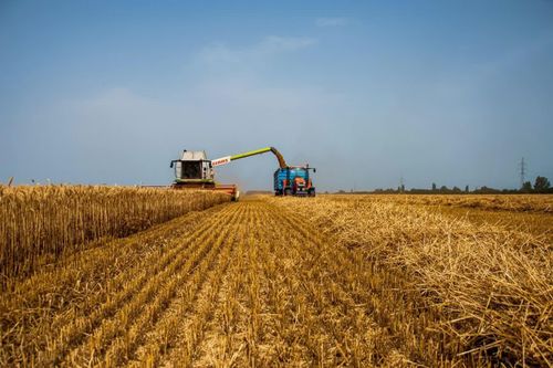 Ba Lan và Romania từ chối đề nghị hỗ trợ vận chuyển nông sản của Ukraine