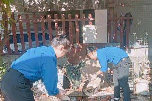 Phường Hòa Khánh chủ động phòng, chống sốt xuất huyết