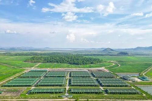 THACO AGRI bị phạt 92,5 triệu đồng do vi phạm quy định về thời hạn công bố thông tin