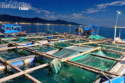 Xã Đại Lãnh: Lập lại trật tự nuôi trồng thủy sản