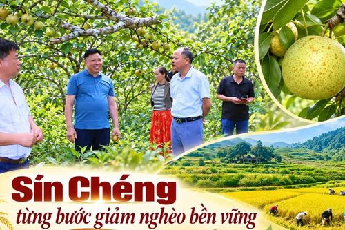 Sín Chéng từng bước giảm nghèo bền vững