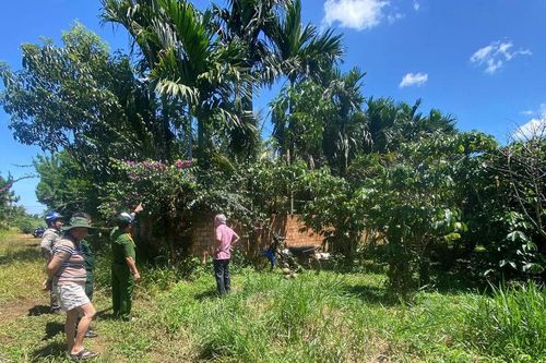 Phường 1 Bảo Lộc phát hiện thi thể nam thanh niên trong vườn cà phê