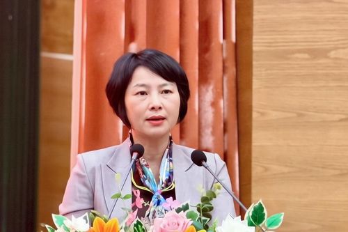 Phó Bí thư Tỉnh ủy Phạm Thị Phúc tiếp xúc cử tri xã Di Linh