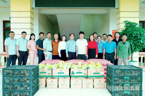 Nâng cao chất lượng đội ngũ cán bộ Hội Nông dân