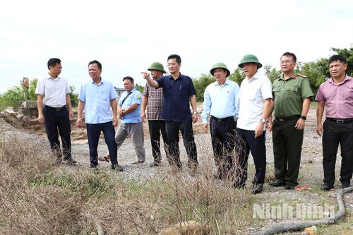 Đồng chí Phó Chủ tịch UBND tỉnh Trần Anh Dũng kiểm tra xử lý vi phạm pháp luật về đê điều tại một số địa phương