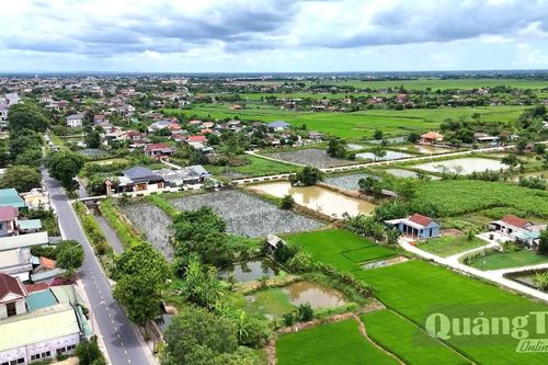 Giải quyết đơn thư từ cơ sở