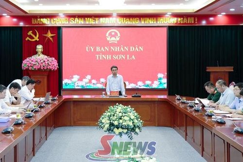 Chuẩn bị nội dung làm việc với Kiểm toán Nhà nước về các dự án trọng điểm