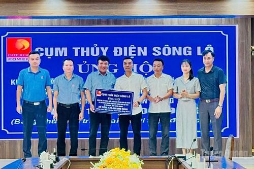 Cụm thủy điện Sông Lô trao 120 triệu đồng hỗ trợ hộ nghèo xã Vị Xuyên