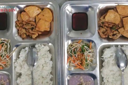 TP. Hồ Chí Minh: Vận hành quy trình '4 bước' xử lý sự cố an toàn thực phẩm trong trường học