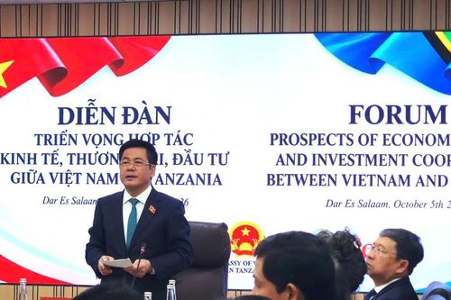 Triển vọng hợp tác Việt Nam – Tanzania về thương mại, đầu tư