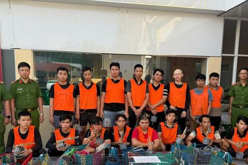 Triệt phá đường dây trộm cắp, tiêu thụ hàng nghìn con mèo tại TP Hồ Chí Minh